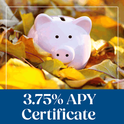 600x600-eNews-3.75Cert