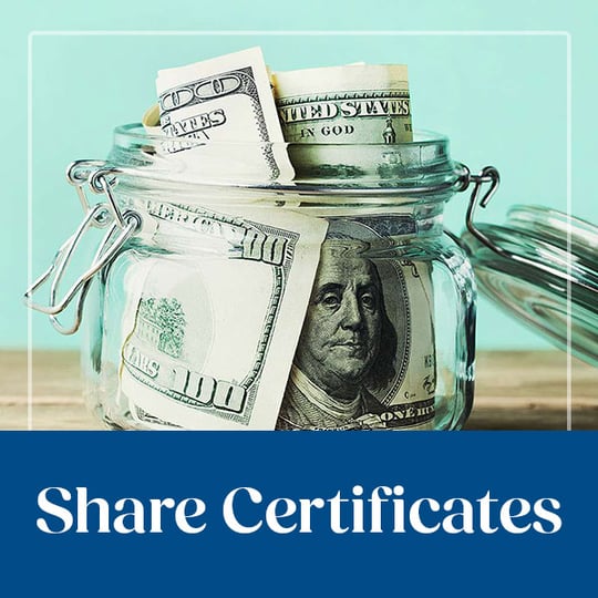 600x600-eNews-shaercerts